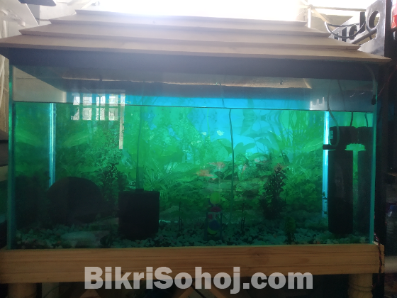 Aquarium sale